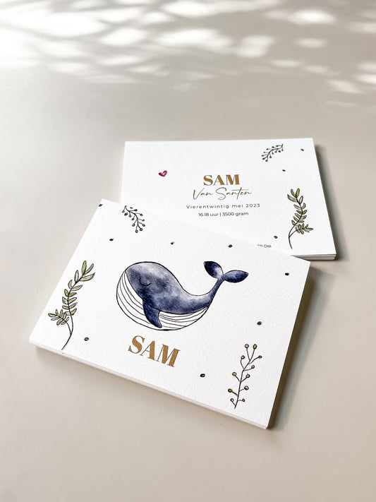 Walvis Sam